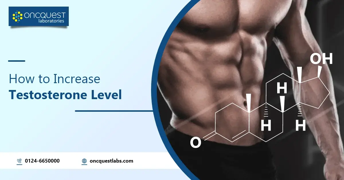 how to increase testosterone level quickly