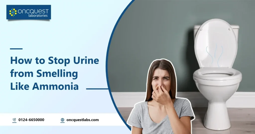 How to Stop Urine Smelling Like Ammonia? 