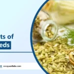 Benefits of Fennel Seed Water and Its Side Effects