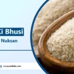 इसबगोल की भूसी के फायदे और नुकसान